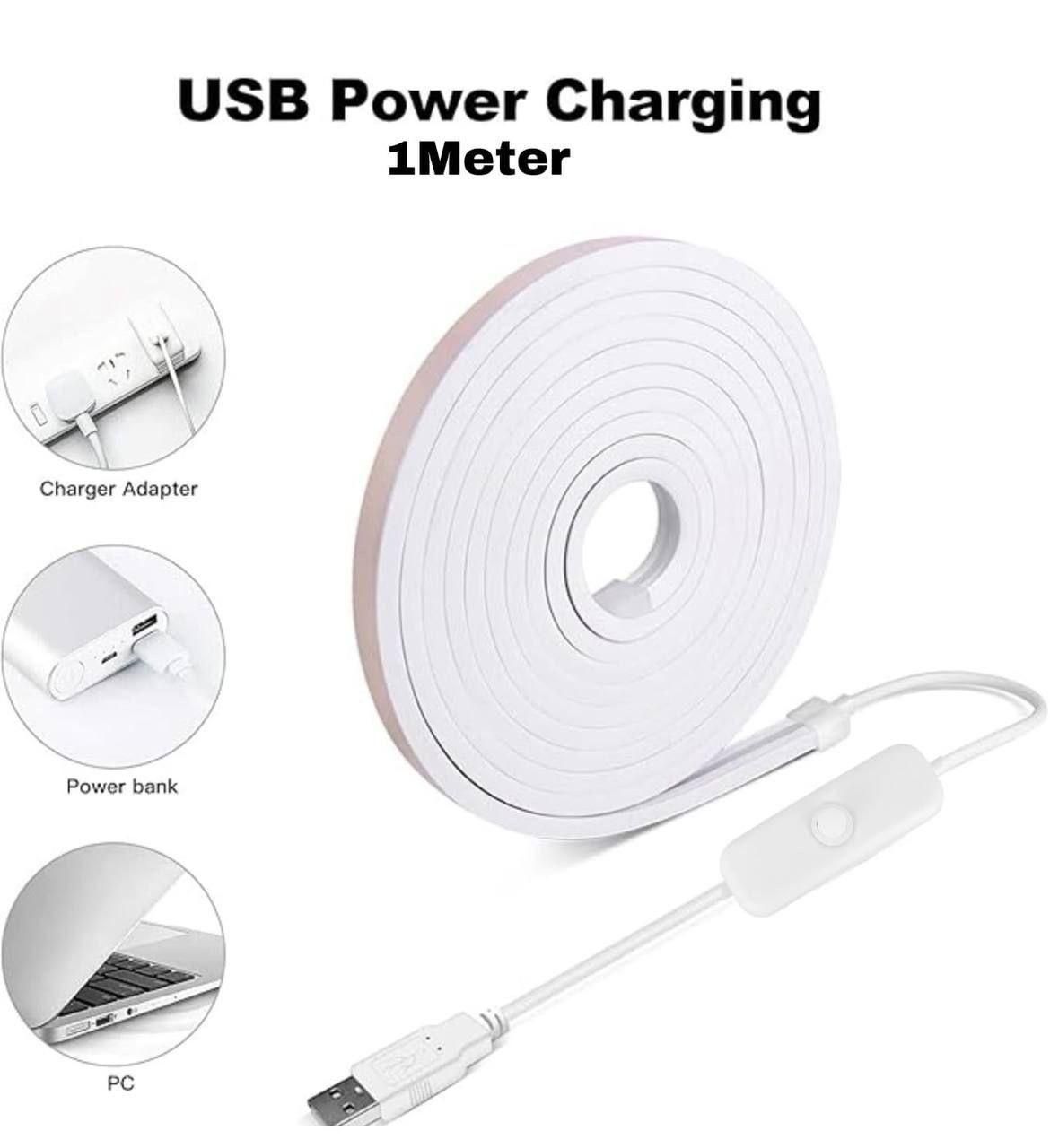 1 Meter Neon Light Waterproof Led Strip Lights jyxge4-69