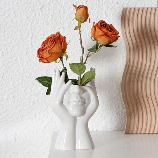 Aesthetic Face Vase jyxge4-69