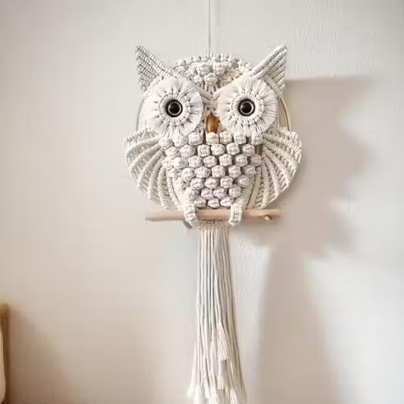 Macrame owl wall hanging on a plain background