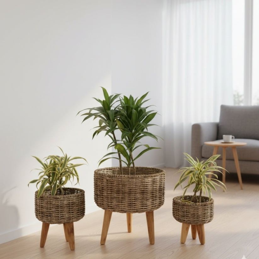 Handmade Jute Planters – Set of 3 Eco-Friendly Boho Plant Containers Style My Room